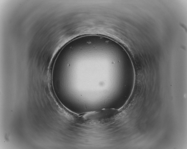 X0000098041517200804111334