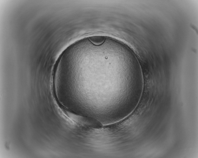 X0000098041518200804111334