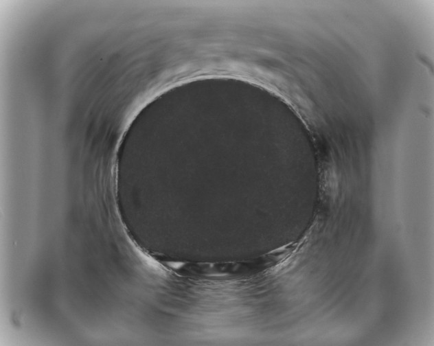 X0000098041519200804111334