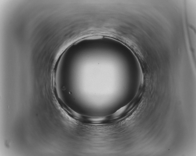 X0000098041520200804111334