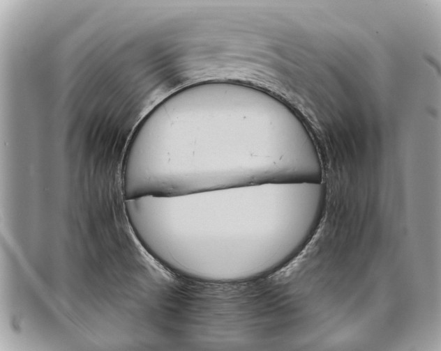 X0000098041521200804111334