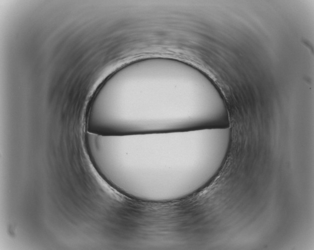 X0000098041523200804111334