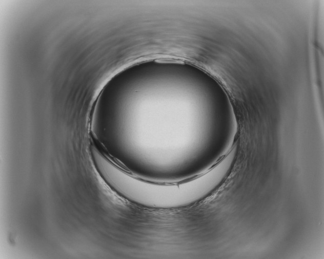X0000098041524200804111334