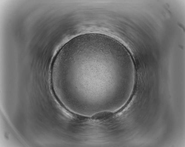 X0000098041525200804111334