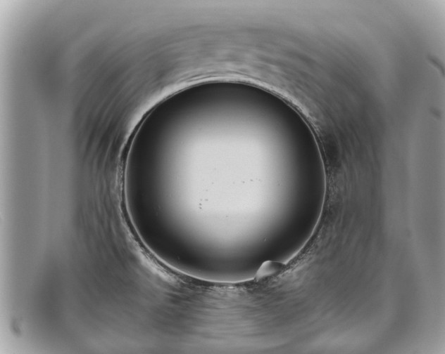 X0000098041526200804111334