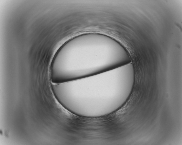 X0000098041527200804111334
