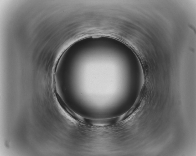 X0000098041528200804111334