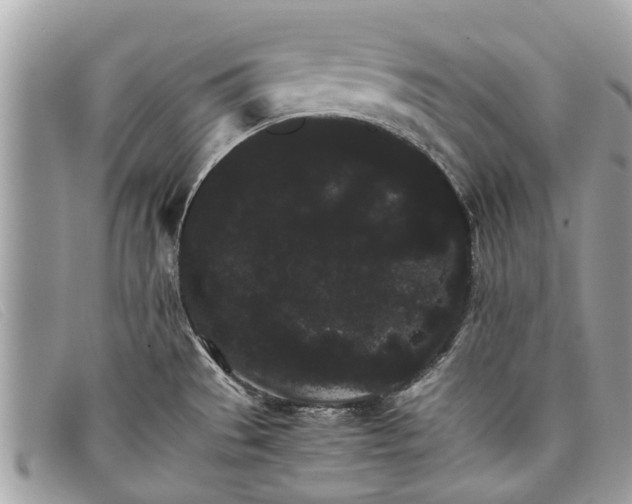 X0000098041529200804111334