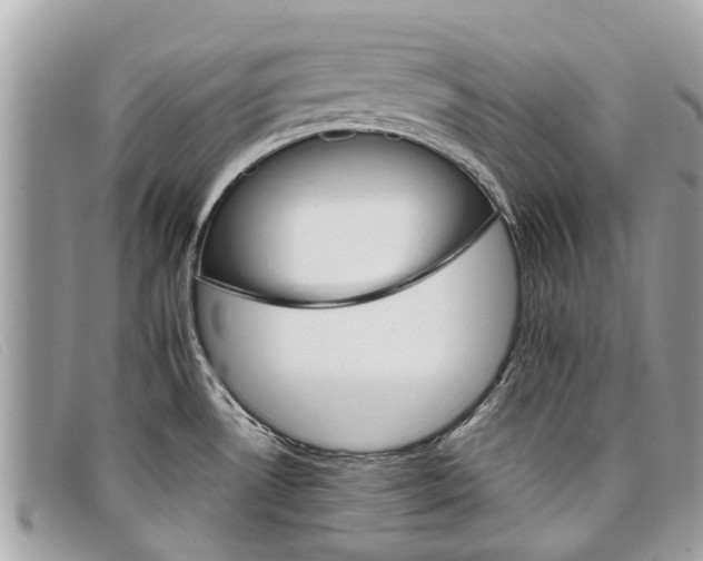 X0000098041530200804111334