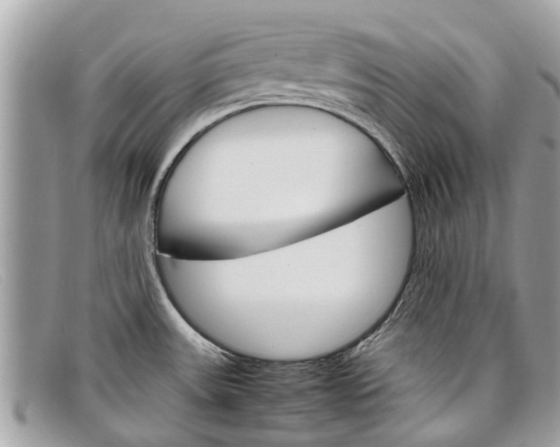 X0000098041531200804111334