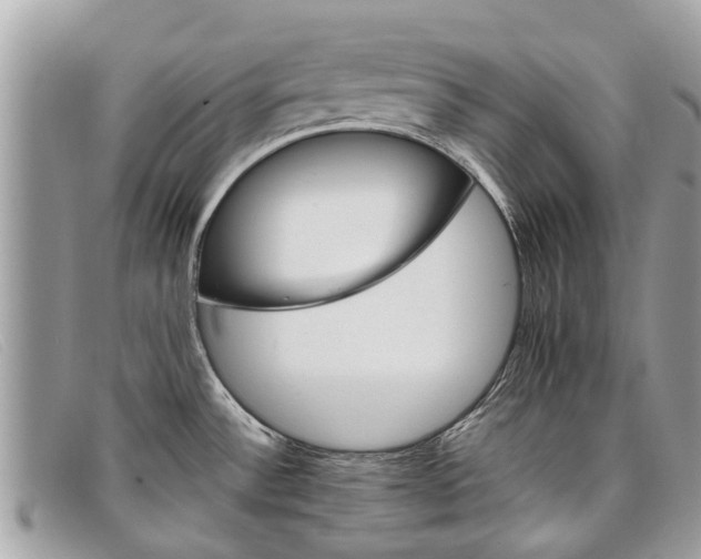 X0000098041532200804111334