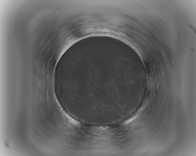 X0000098041533200804111334