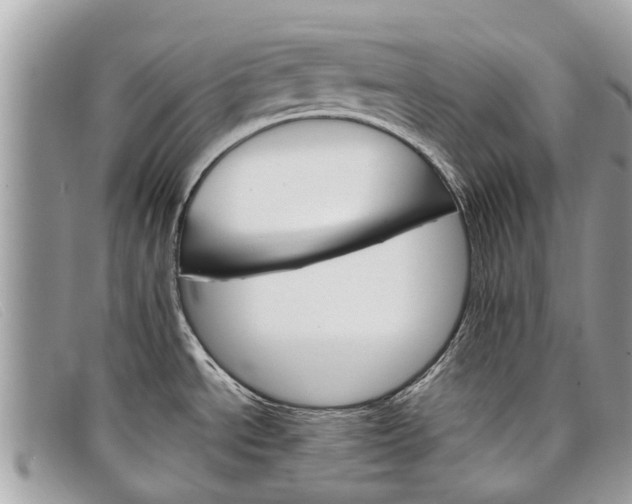 X0000098041534200804111334