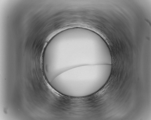 X0000098041535200804111334