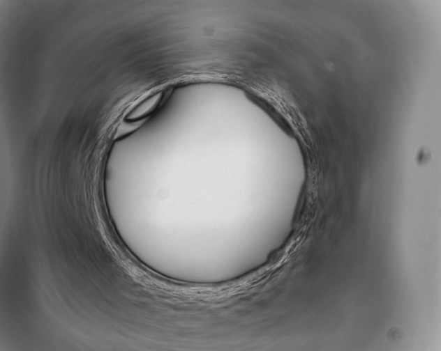 X0000098040001200804181309