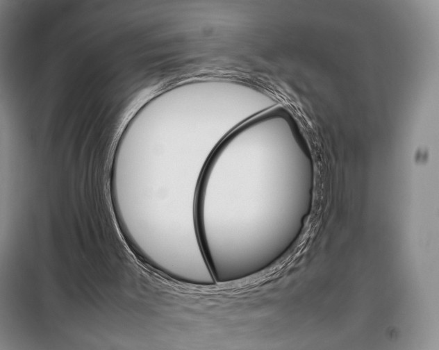 X0000098040003200804181309