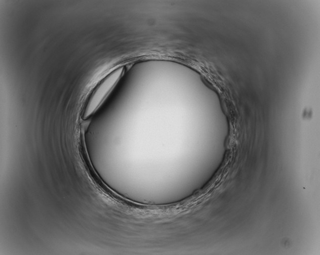 X0000098040005200804181309