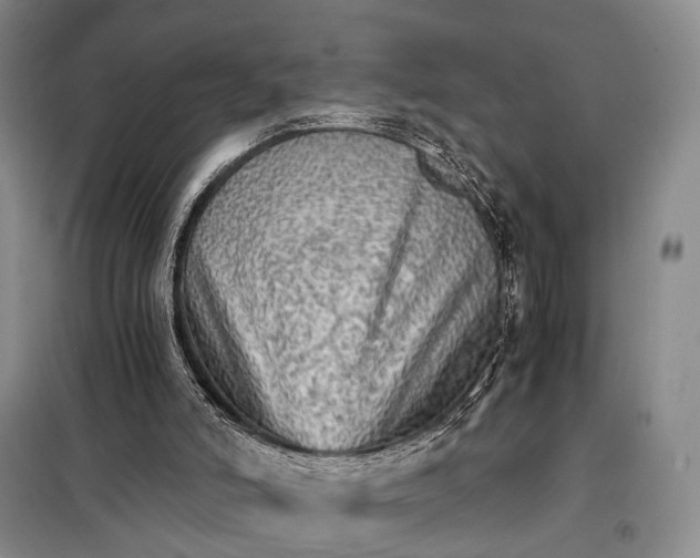 X0000098040006200804181309