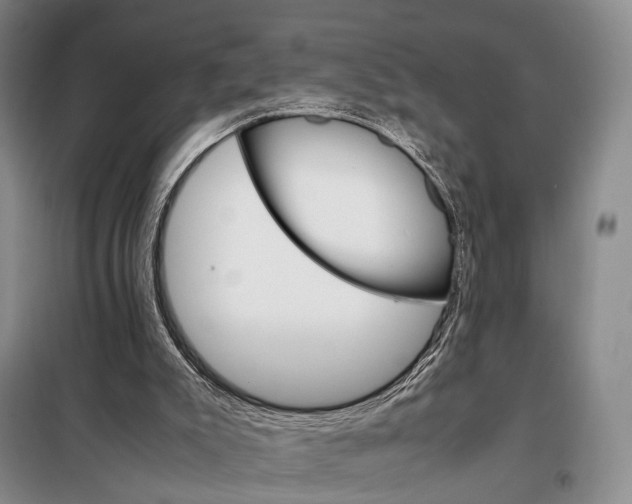 X0000098040007200804181309