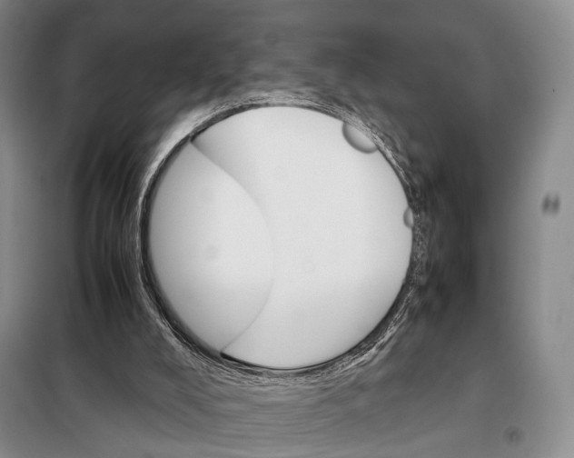 X0000098040008200804181309