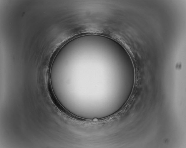 X0000098040011200804181309