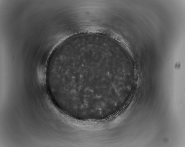 X0000098040012200804181309