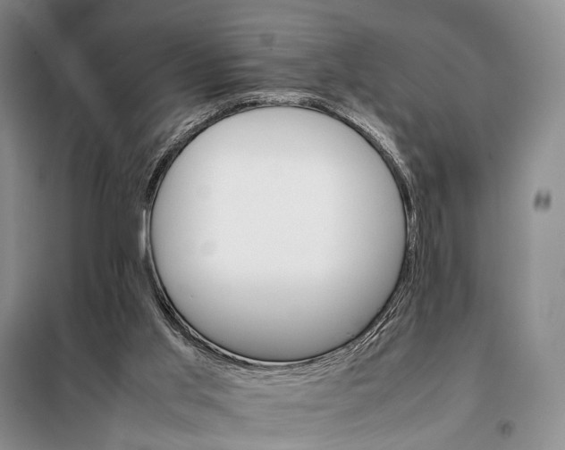 X0000098040013200804181309