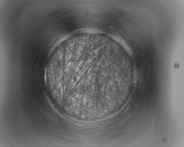 X0000098040014200804181309