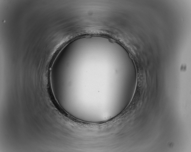 X0000098040015200804181309