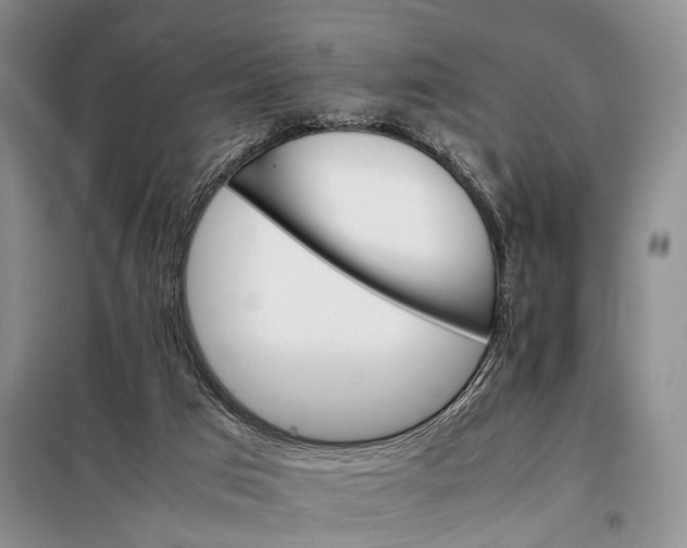 X0000098040017200804181309