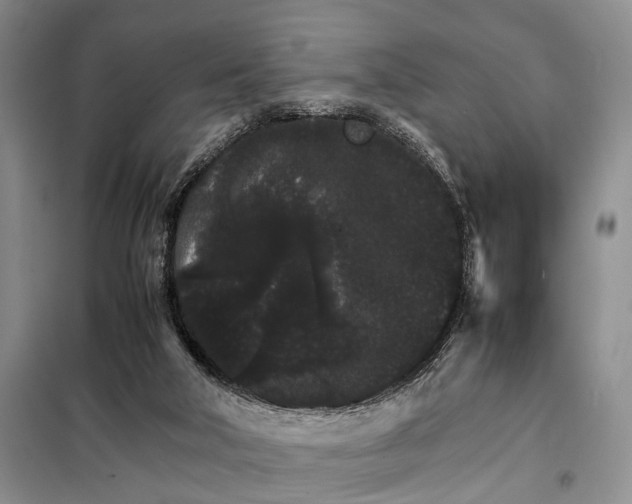 X0000098040018200804181309