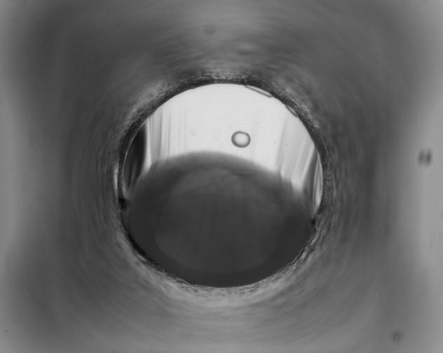 X0000098040019200804181308