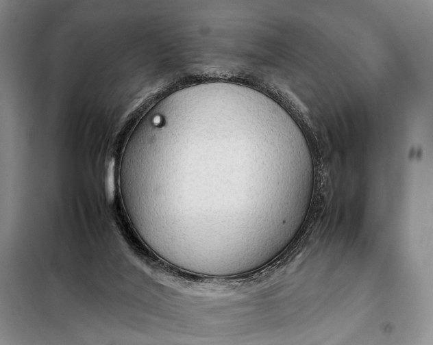 X0000098040020200804181308