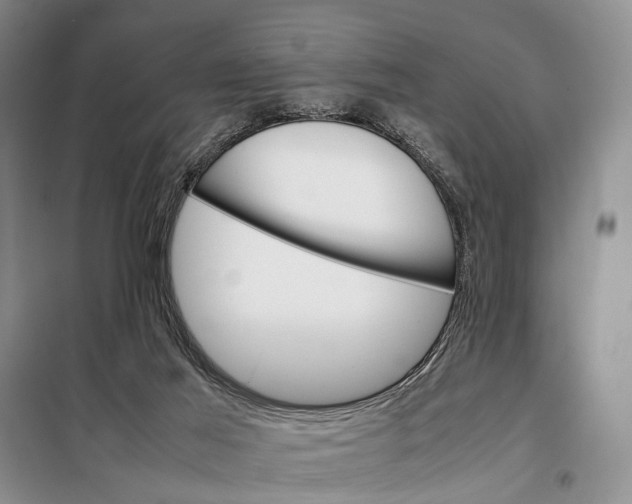 X0000098040021200804181308