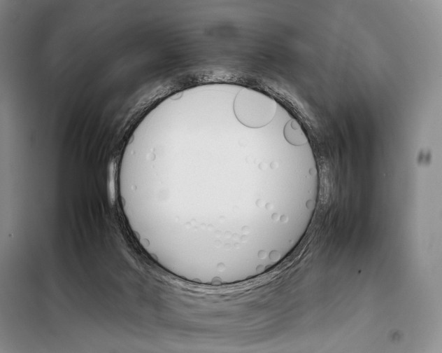 X0000098040022200804181308