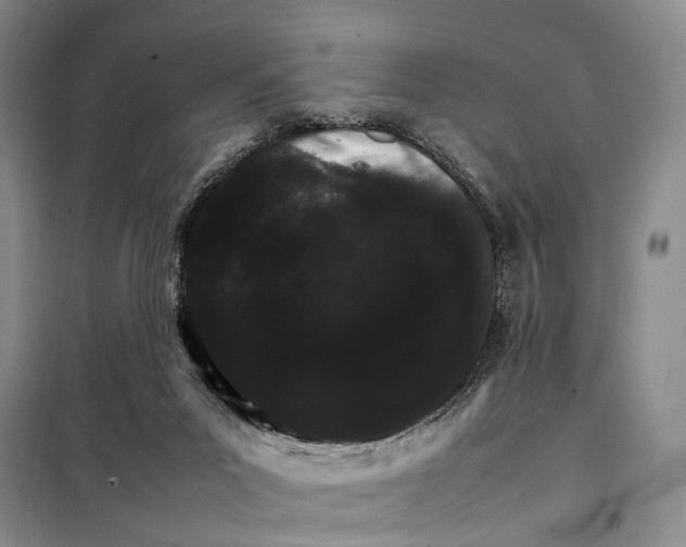 X0000098040023200804181308