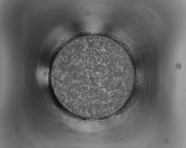 X0000098040024200804181308