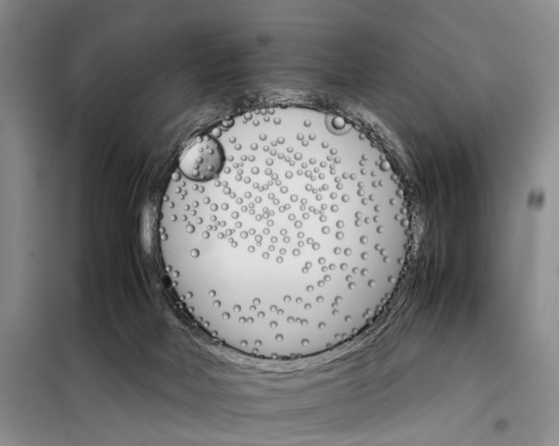 X0000098040026200804181308