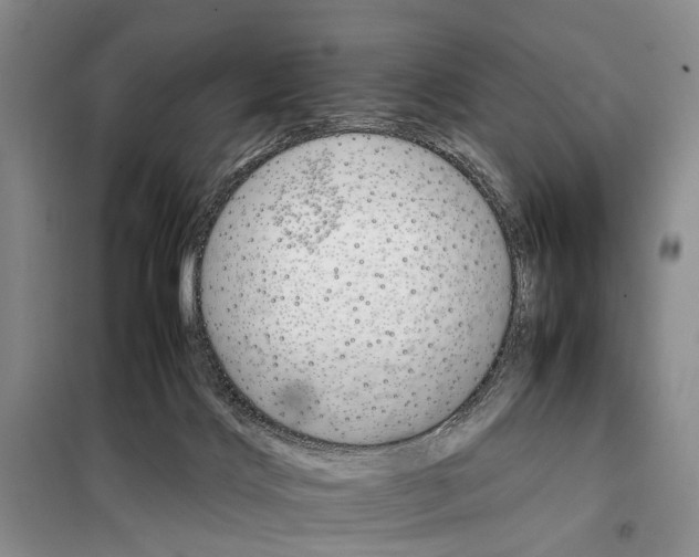 X0000098040028200804181308