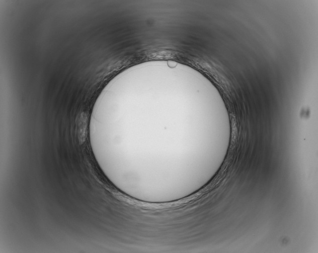 X0000098040030200804181308