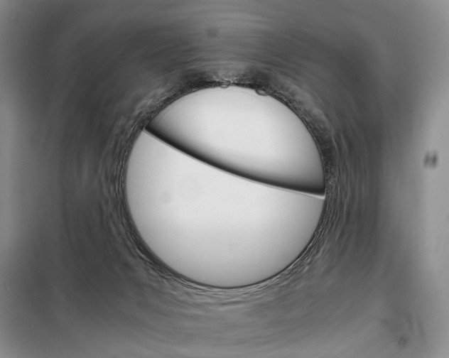 X0000098040031200804181308