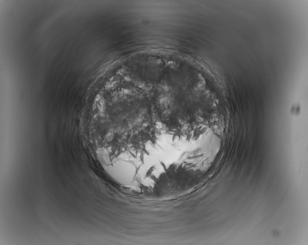 X0000098040032200804181308