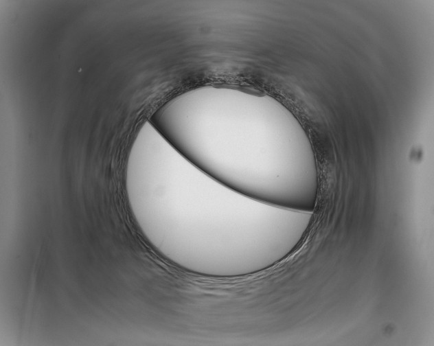 X0000098040033200804181308