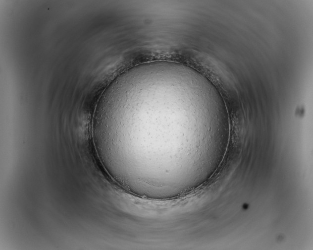 X0000098040034200804181308