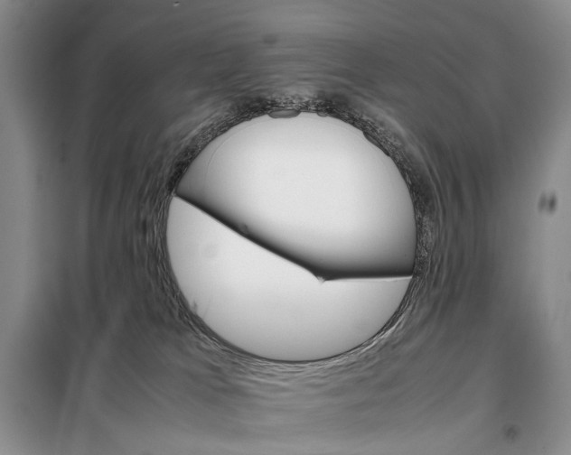 X0000098040037200804181308