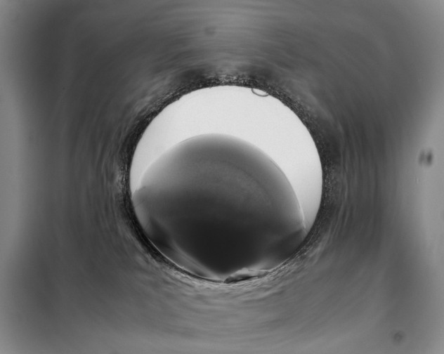 X0000098040039200804181308