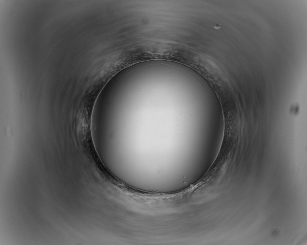 X0000098040040200804181308