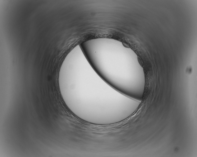 X0000098040041200804181308