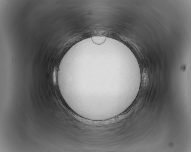 X0000098040042200804181308