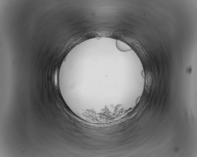 X0000098040046200804181308